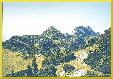 Bild: Blick auf die Achselkoepfe