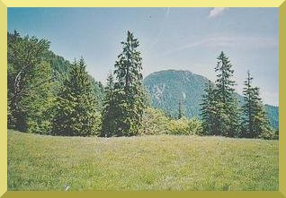 Blick auf Benewand-Westanstieg