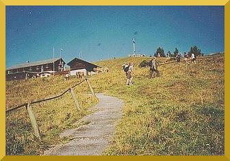 Bild: Brauneck-Gipfel