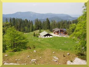 Blick auf die Hütte