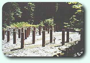 Bild: Treibholzrechen im Lainbach