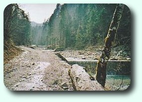 Bild: Weg nach Brücke