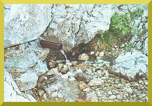 Eine Quelle speist den Bergbach auch