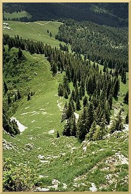 Bild: Südblick von der Benewand